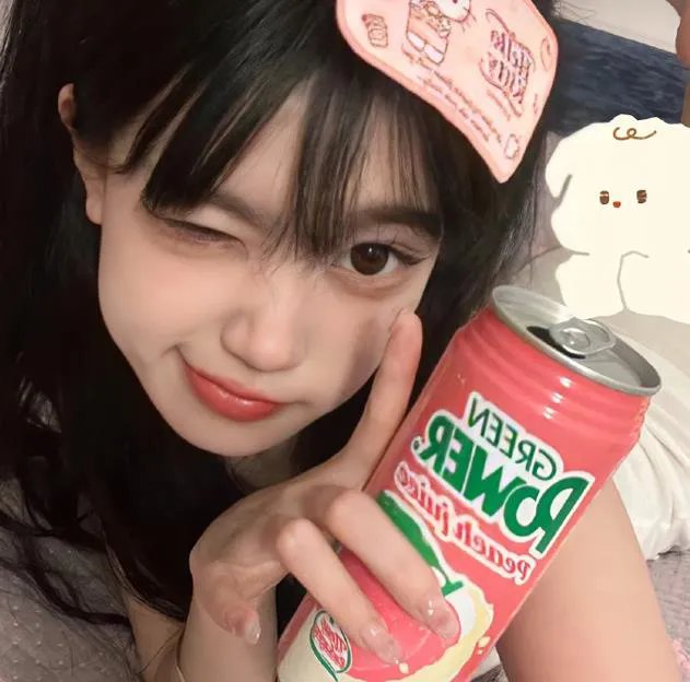 大笨蛋